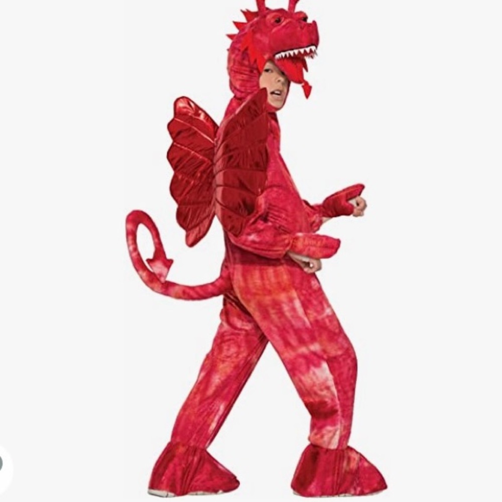 Red Dragon Costume - Kids Children Small